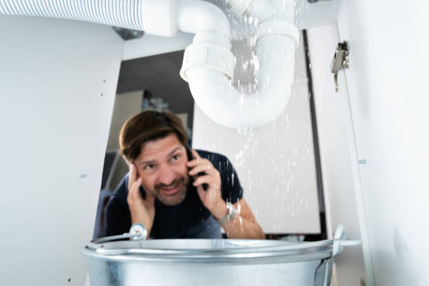 Best Leak Detection Services  in Woodlawn Beach, FL