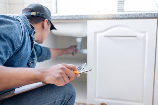 Best Local Plumber Services  in Woodlawn Beach, FL