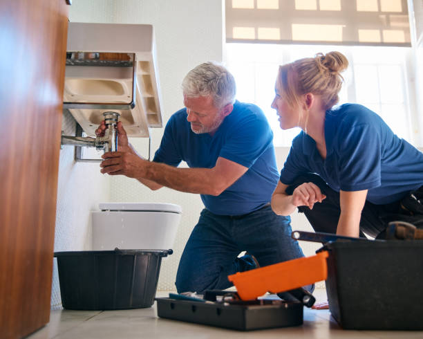 Best Plumbing Services Near Me  in Woodlawn Beach, FL